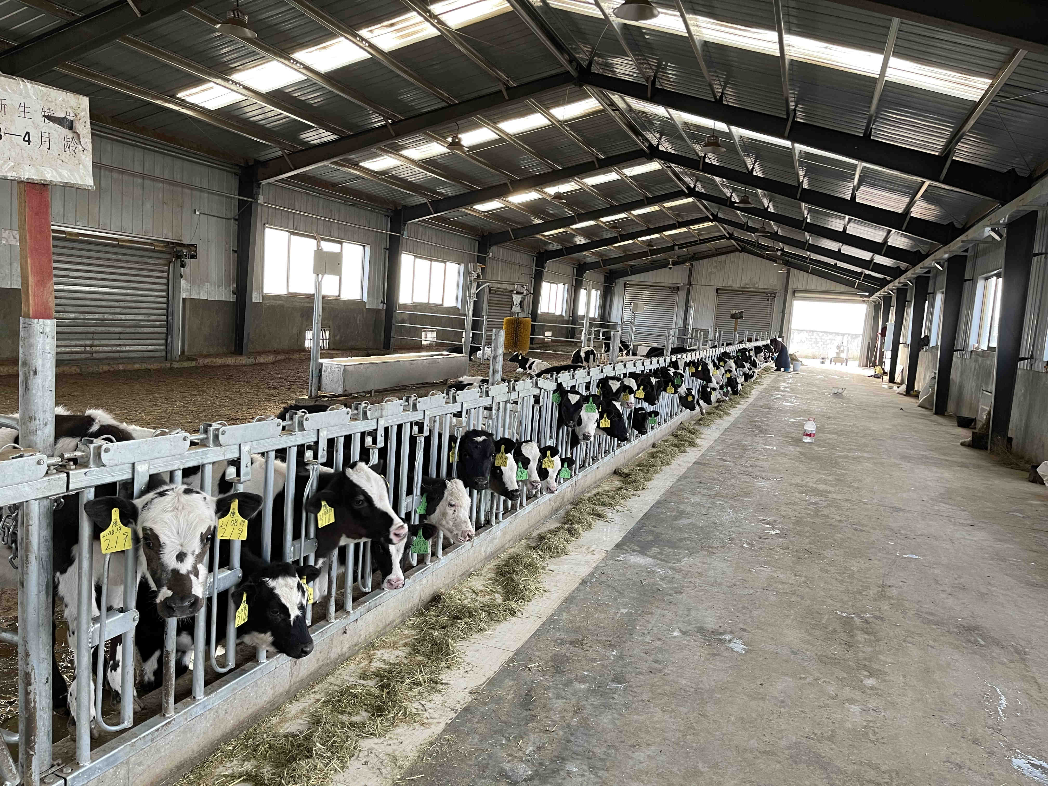 西藏隆子縣奶?；? /></a></b>
            <p><a href=