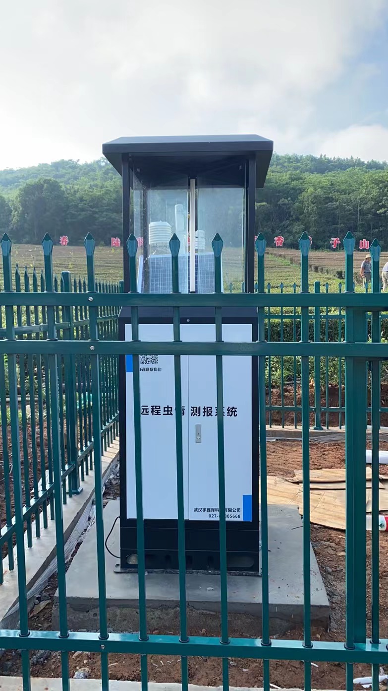 2022年6月天門(mén)生態(tài)茶園蟲(chóng)情監(jiān)測(cè)項(xiàng)目